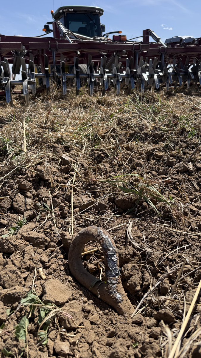 FarmerDan tweet media