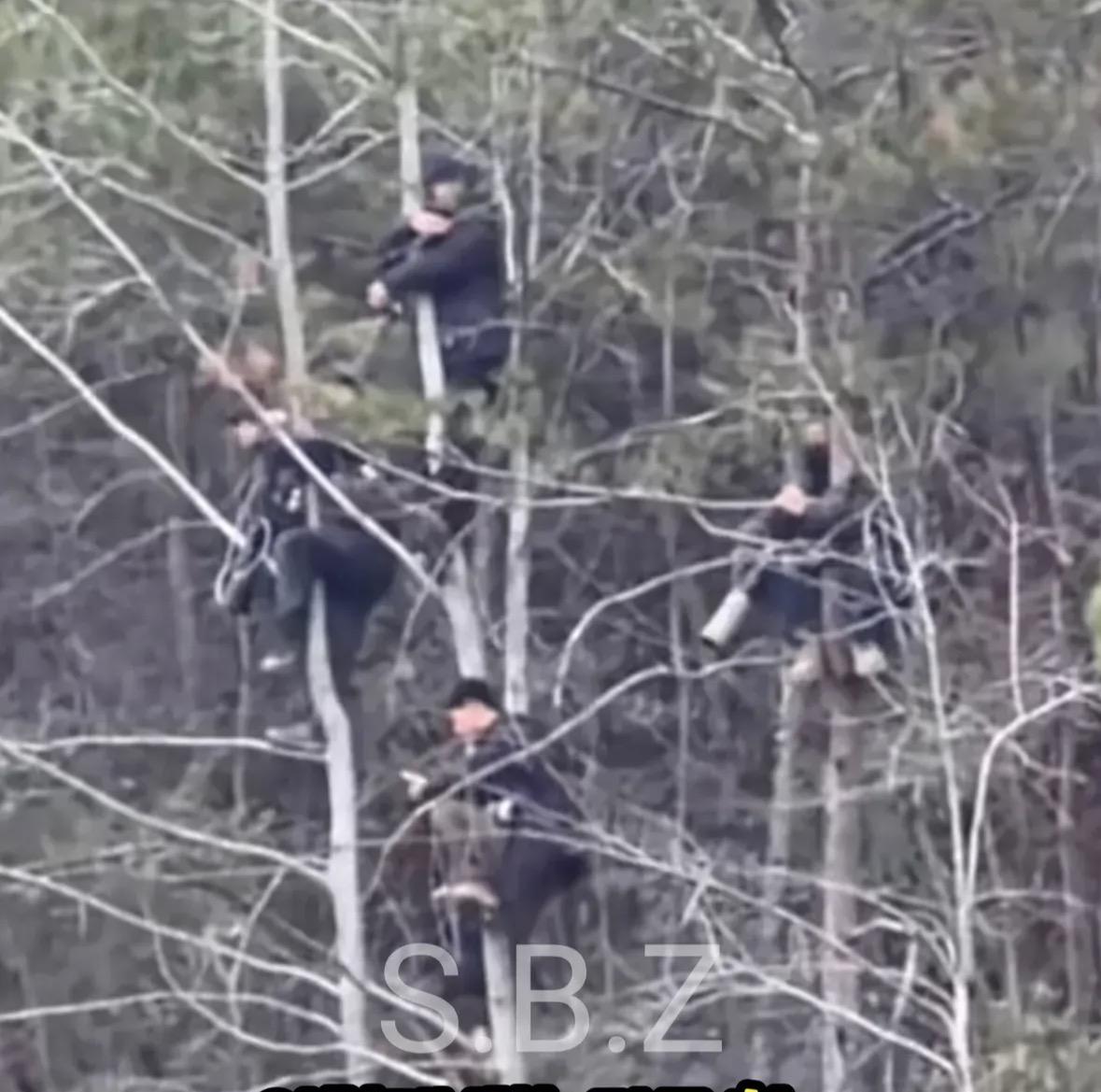 Loopy_Gongju tweet media