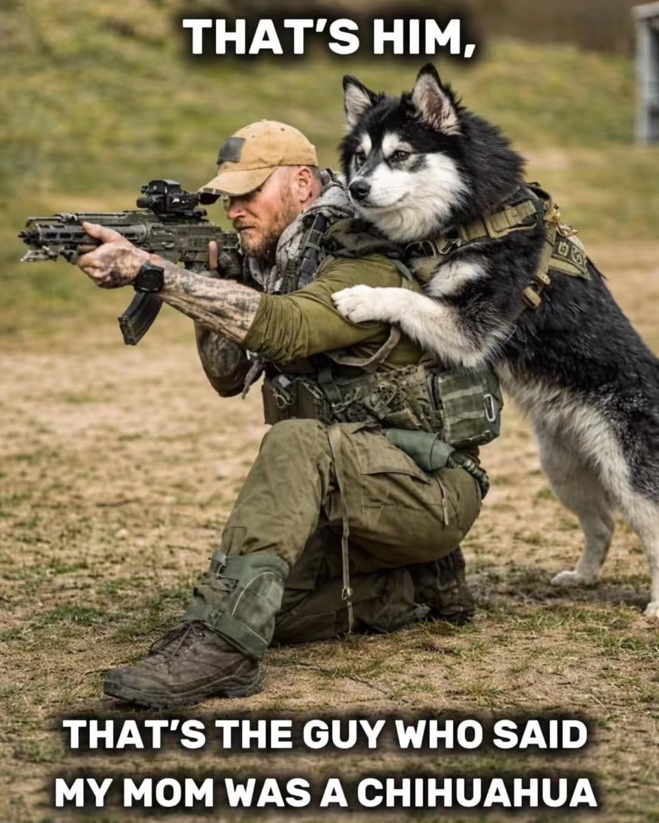 LAnDo NIFFIRG™️🇨🇦 tweet media