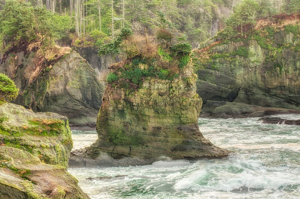 Rich Leighton 🏆🏆⚽🥇 tweet media