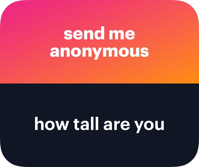 Cash Cat tweet media