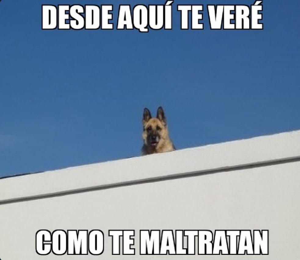 Cristian Rios tweet media