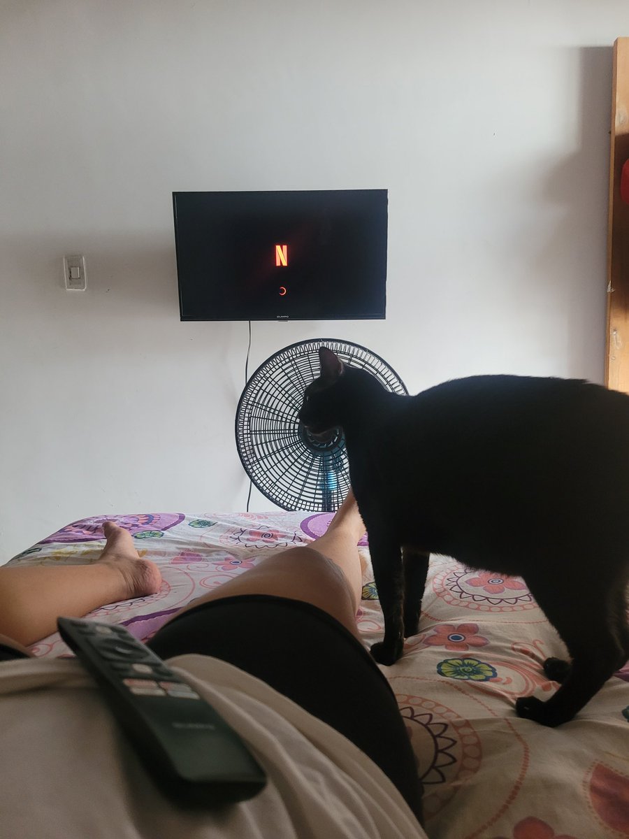 Andrea BP. tweet media