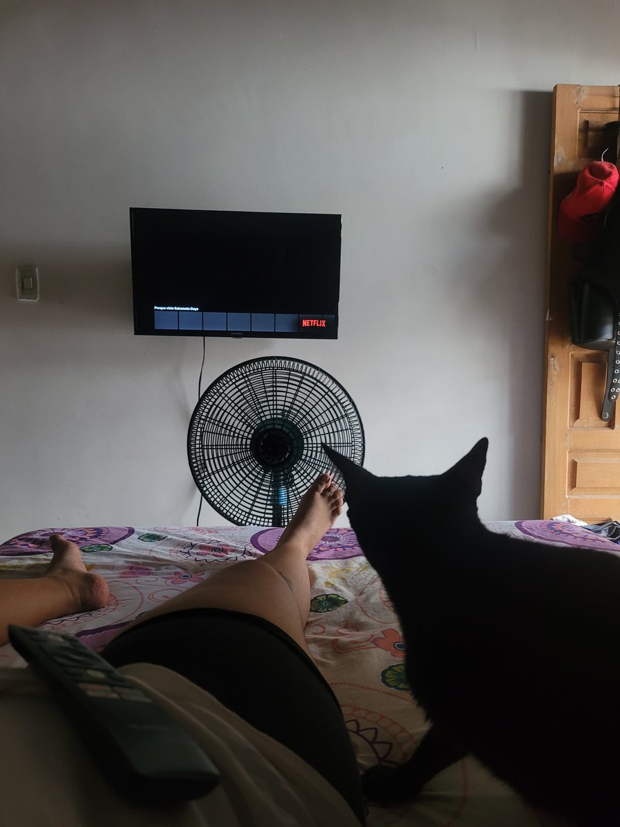 Andrea BP. tweet media