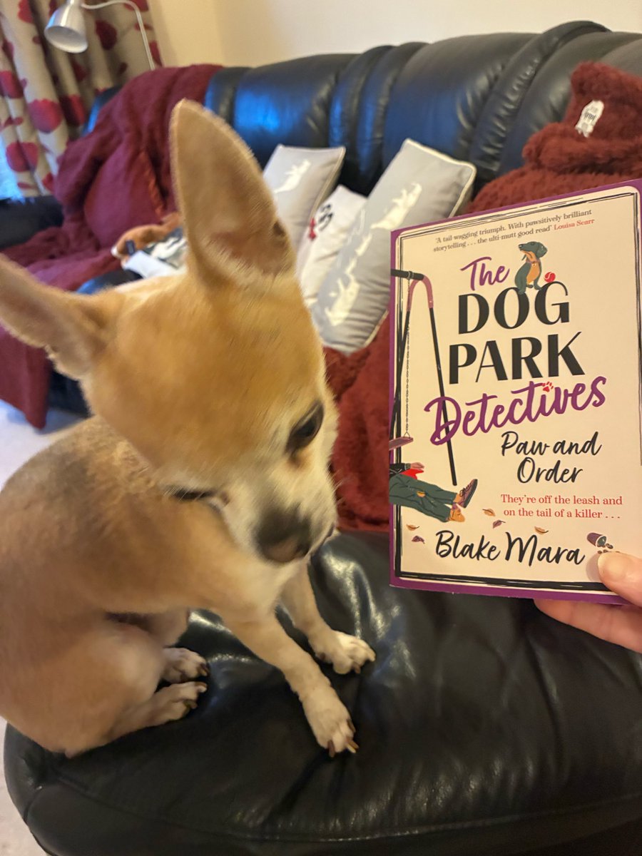 KarenKisreading 📚🐾 tweet media