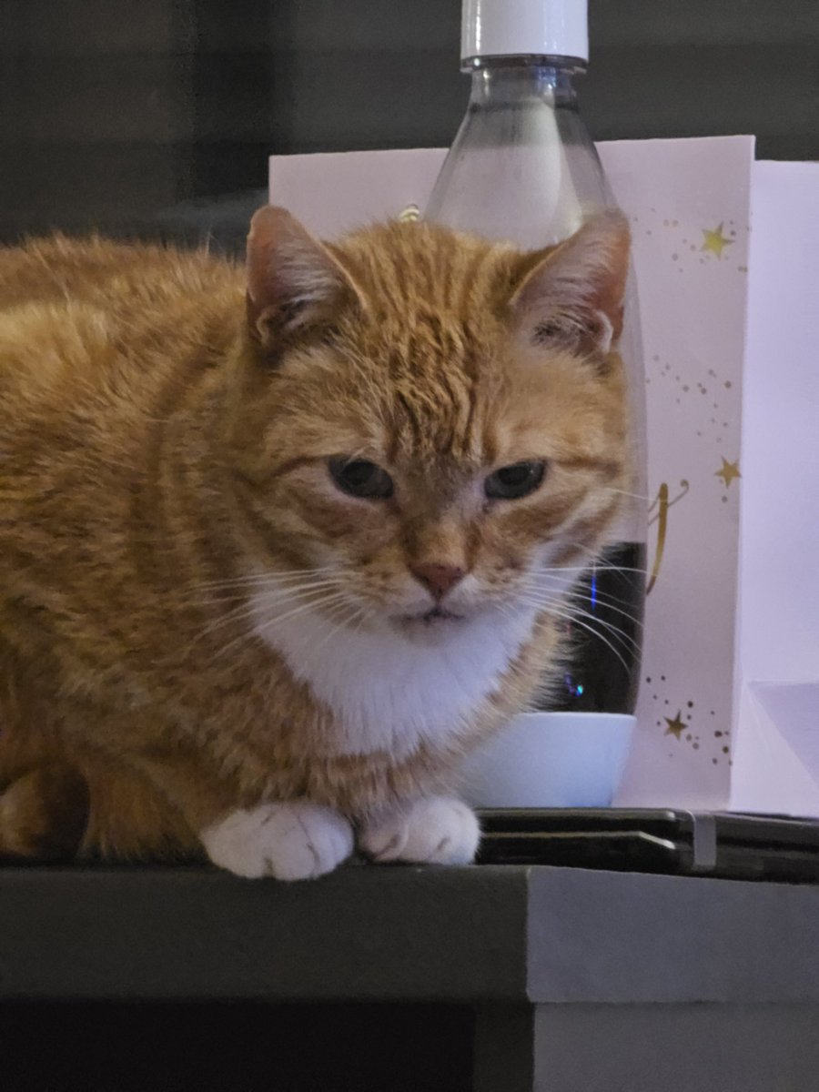 anna ★ ghost tweet media