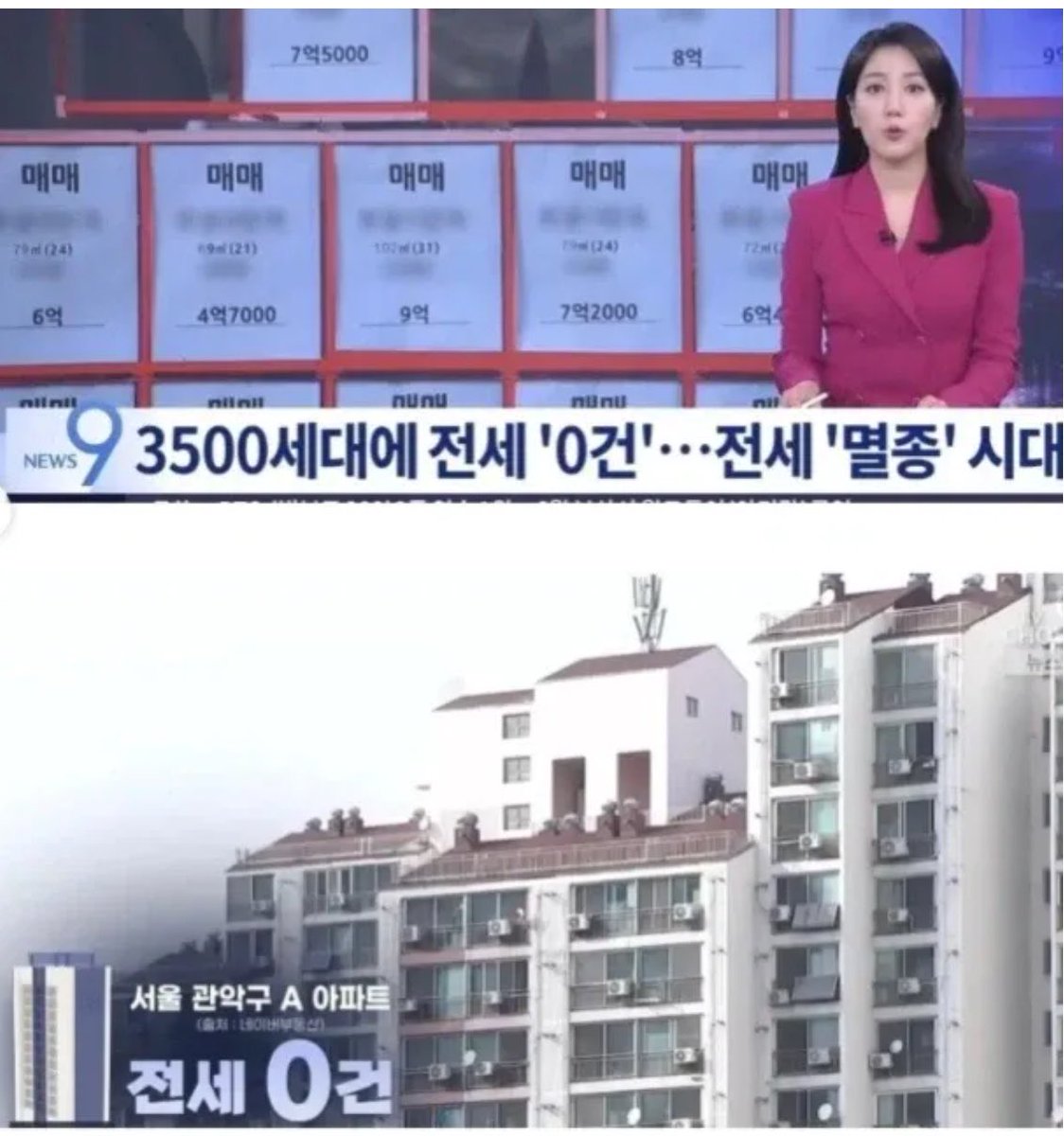 캣츠파파 tweet media