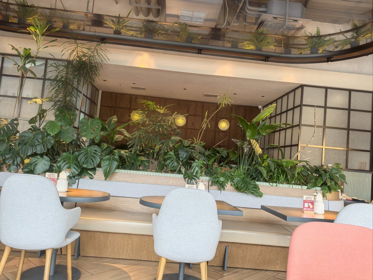 SAM RUFUS tweet media