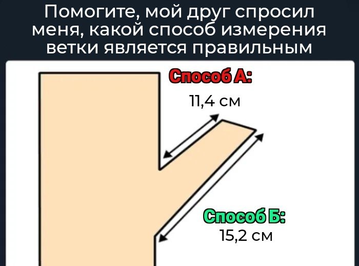 Болконский tweet media