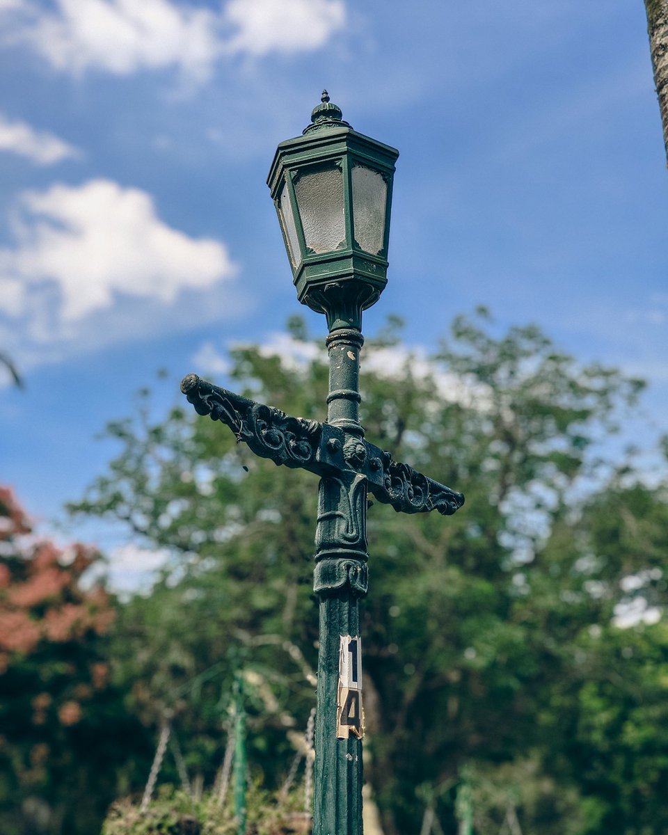 Jamzhouse's tweet photo. Finding some Narnia vibes in the middle of Mitchell Park. 🦁❄️

​#Durban #MitchellPark #VintageAesthetic #StreetLantern #OldWorldCharm https://t.co/tqb7uXYrKm
