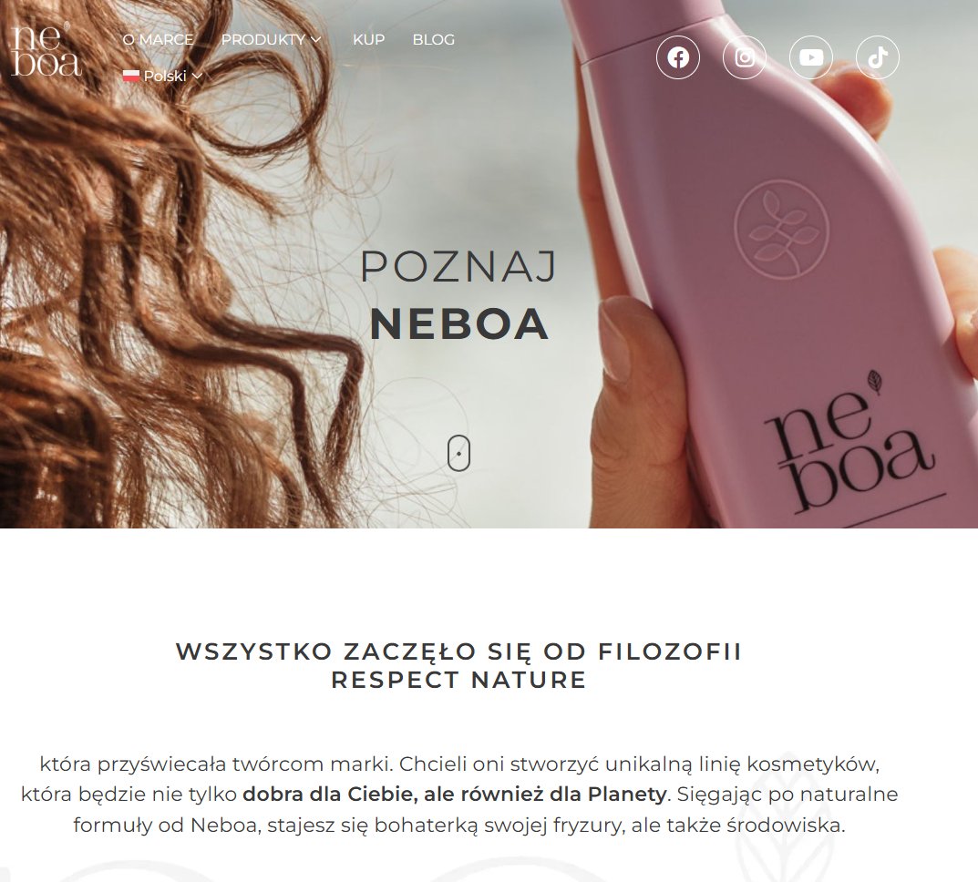 Metakognita tweet media