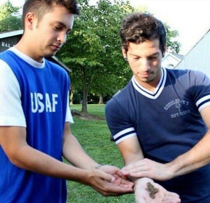 mace ⊬ sommo & shaky tweet media