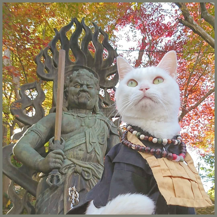 𝕲𝖔𝖔𝖓𝖇𝖑𝖆𝖉𝖊☾☾ ⚚ 𝐏𝐒𝐘𝐂𝐇𝐎𝐏𝐈𝐌𝐏 𝐀𝐑𝐂 tweet media