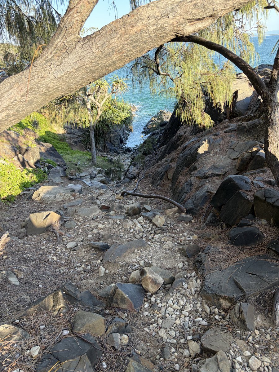 Kylie Riordan tweet media