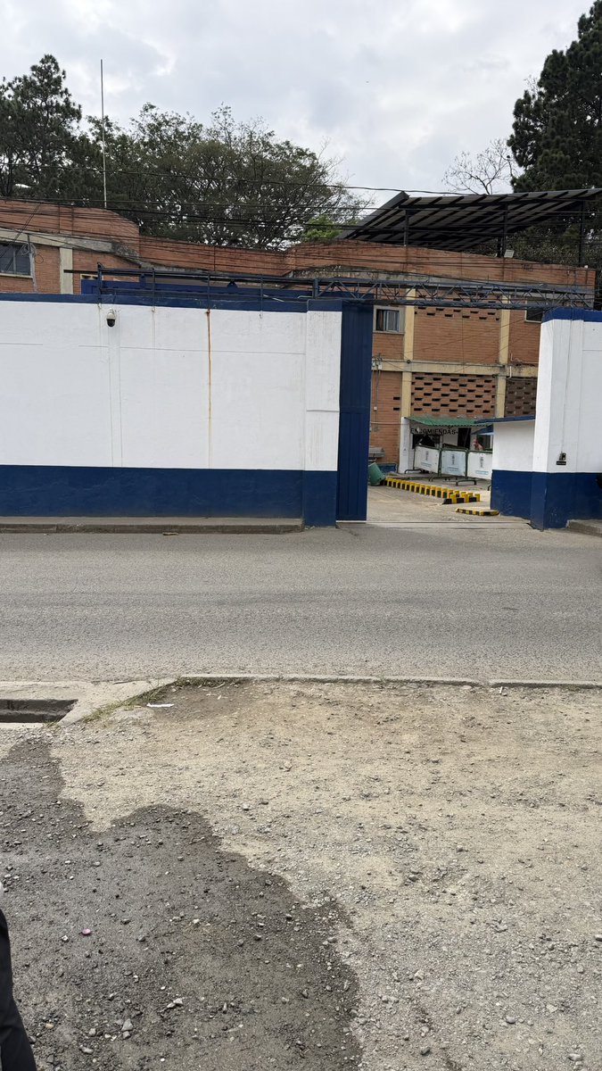 Don Tello tweet media