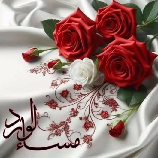 شاعر الغلابه tweet media