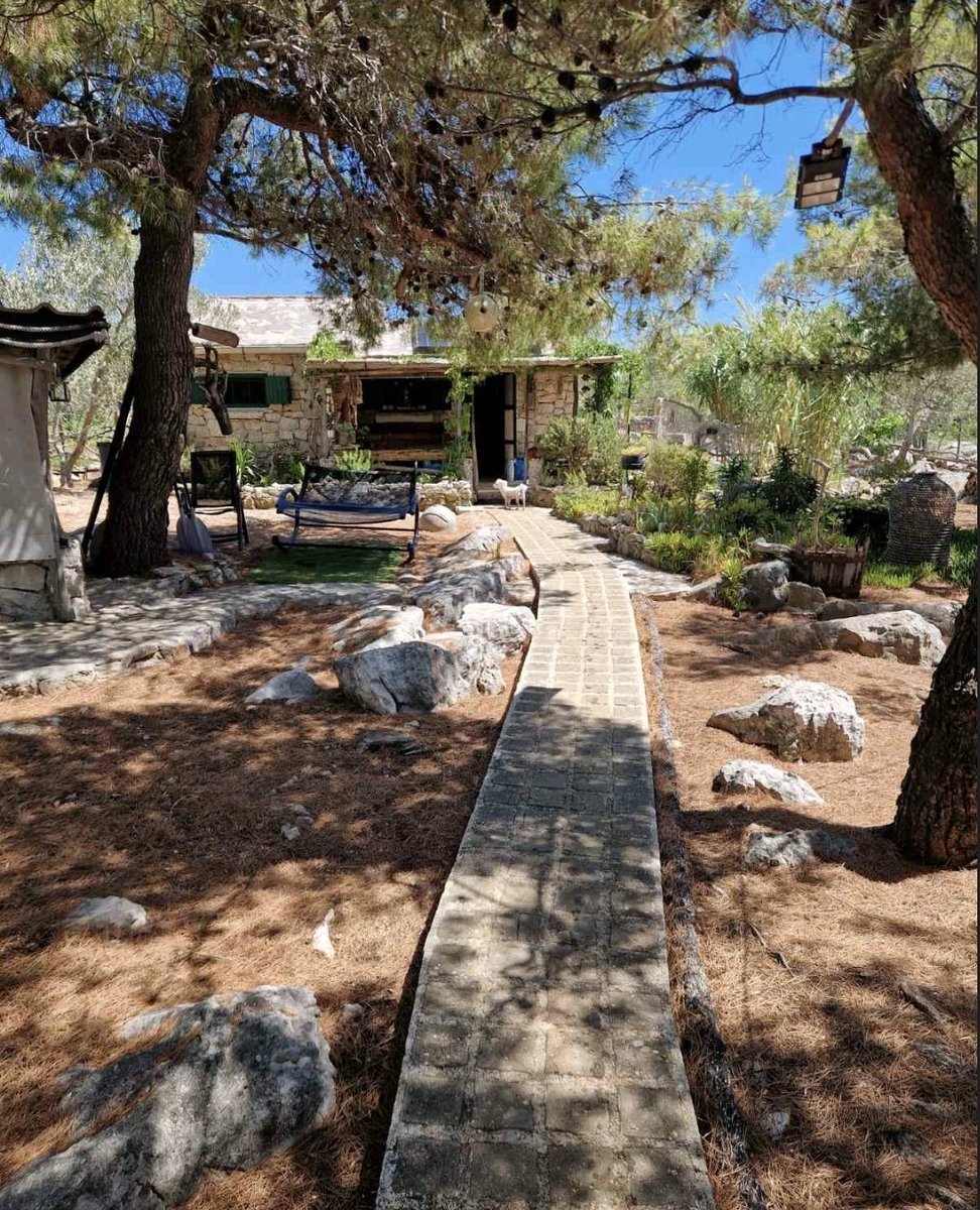 Rafael Ziherl tweet media