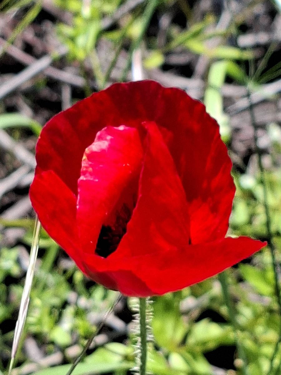 Kalözol tweet media