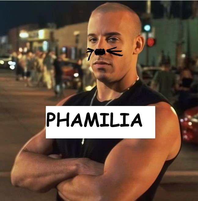 Anna 💫 tweet media