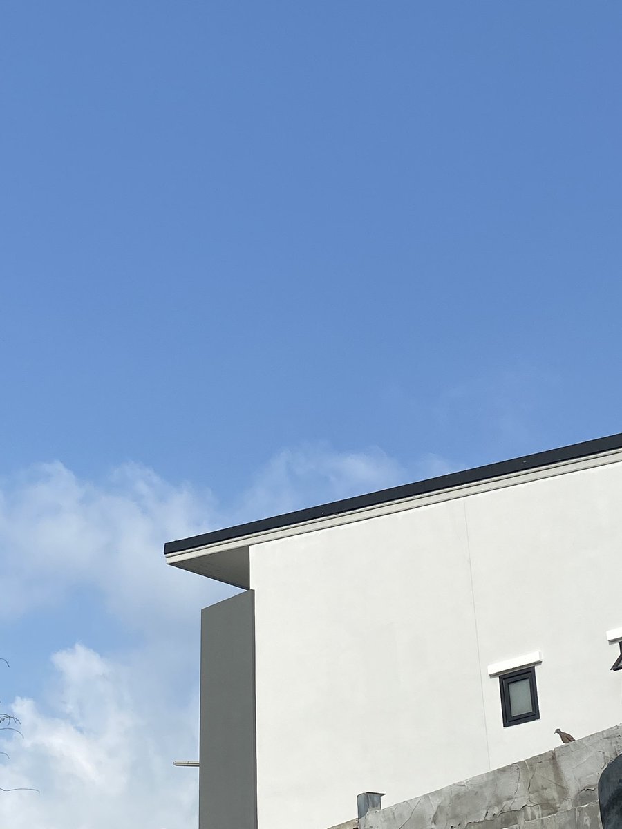 ว๋า🍋 tweet media