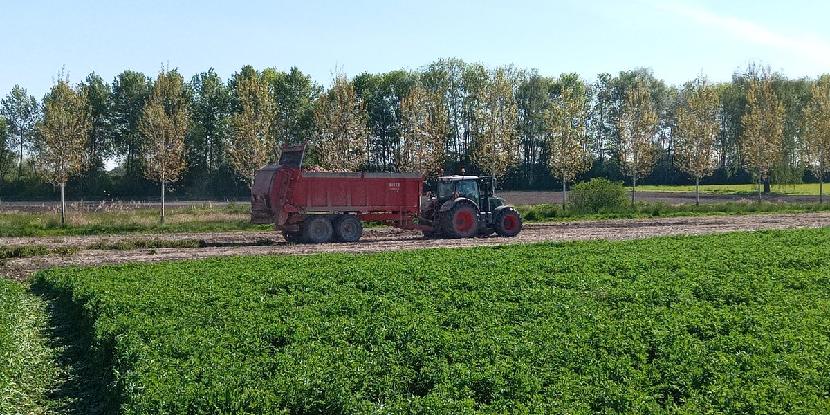 Nicolas Vadez tweet media