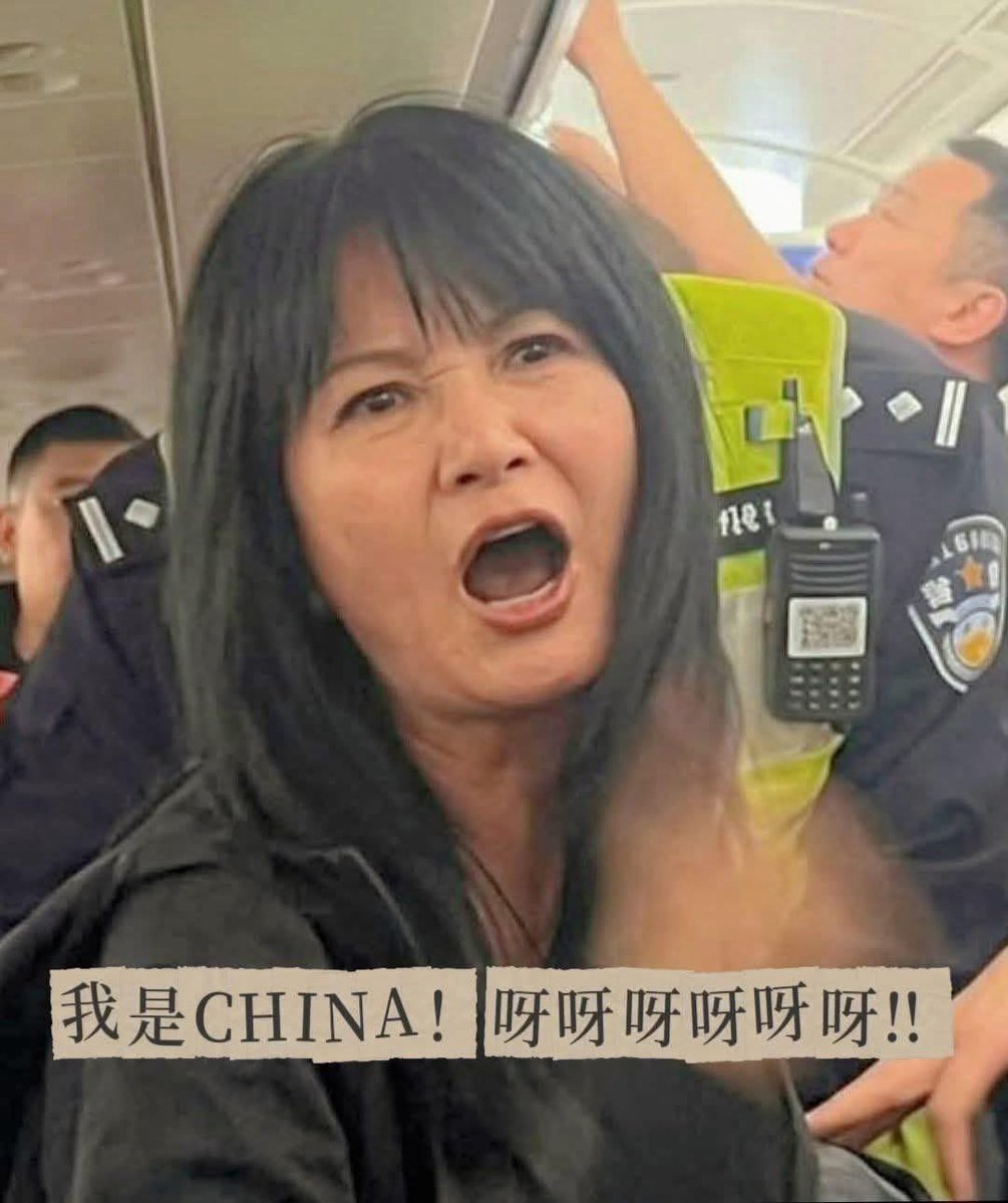 盛雪SHENG Xue tweet media