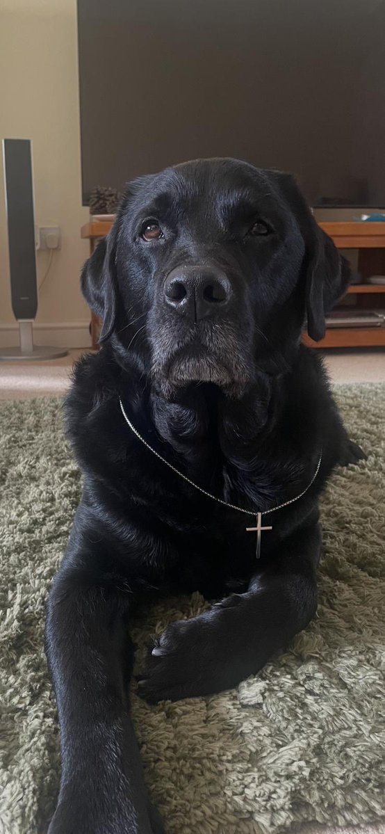 Highwayman1 tweet media