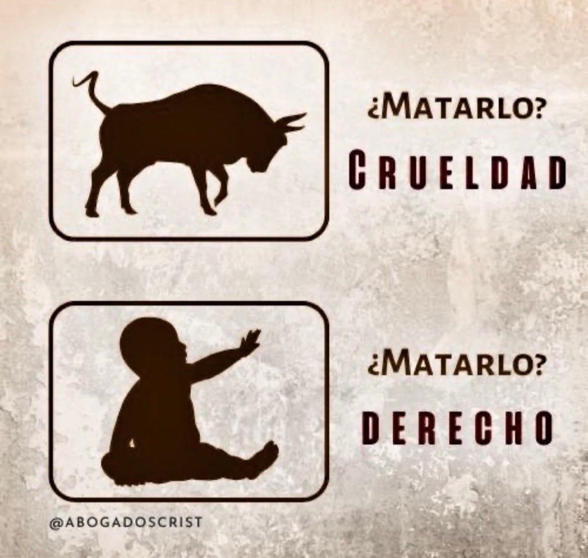 charovargas_'s tweet image. 