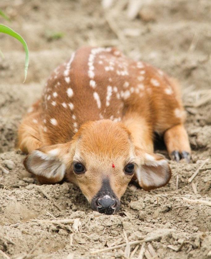 ‍ ‍ ‍ ‍ ‍ ‍ * ‍ ‍ ‍ ‍ ‍ 𝓯ashion ‍ ﹑ ‍ killa tweet media