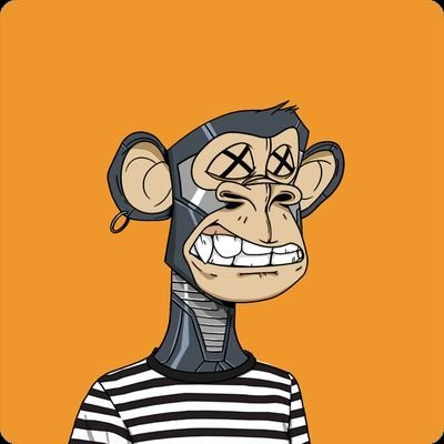 Bored Ape Yacht Club 🍌 tweet media