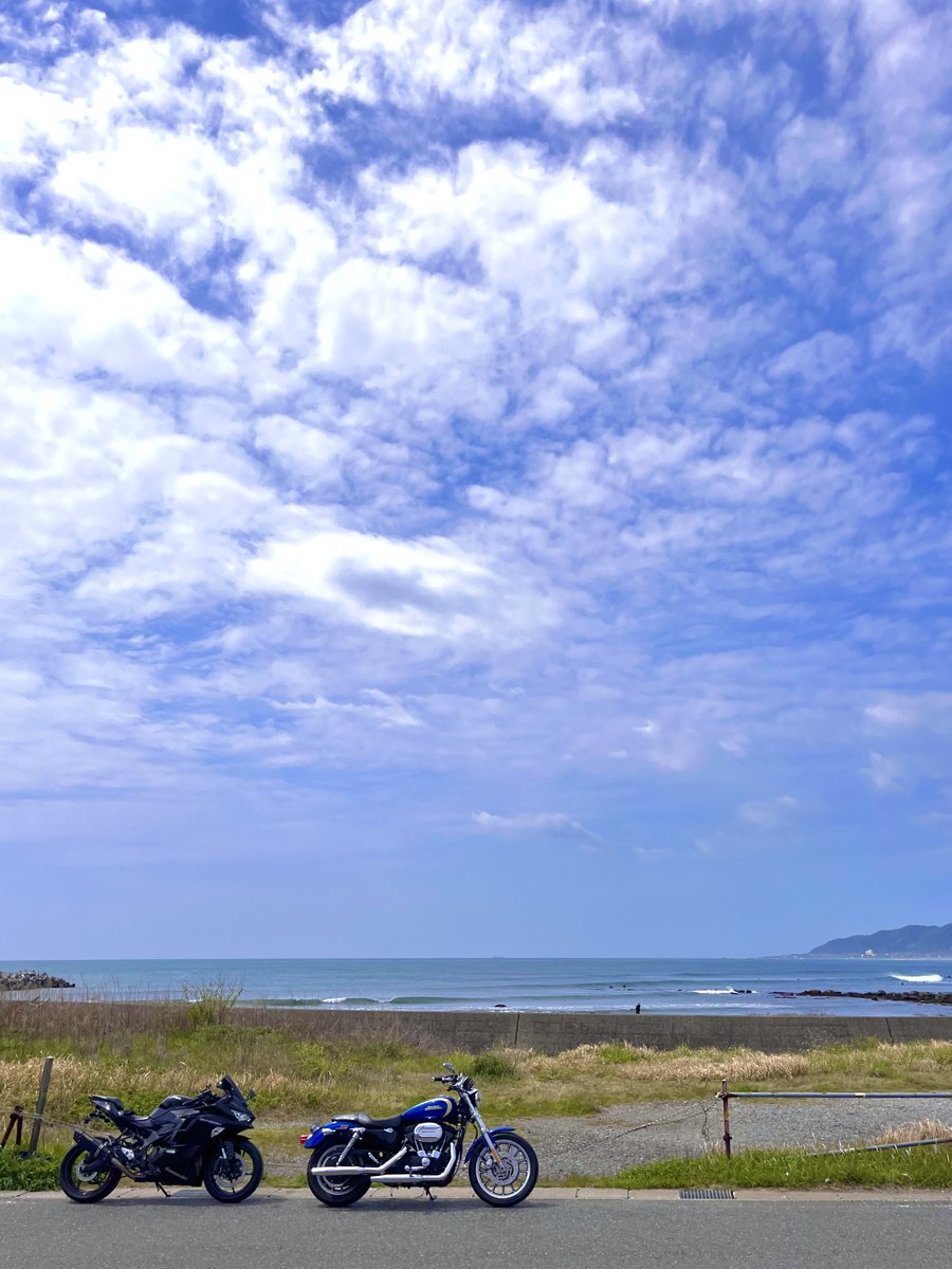 saorin🫧 tweet media