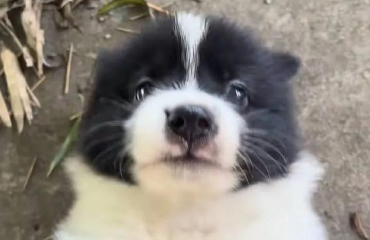 iti malias tweet media