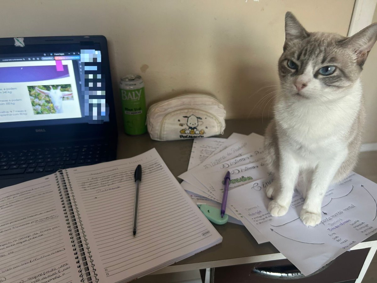 dani 𝄞 tweet media