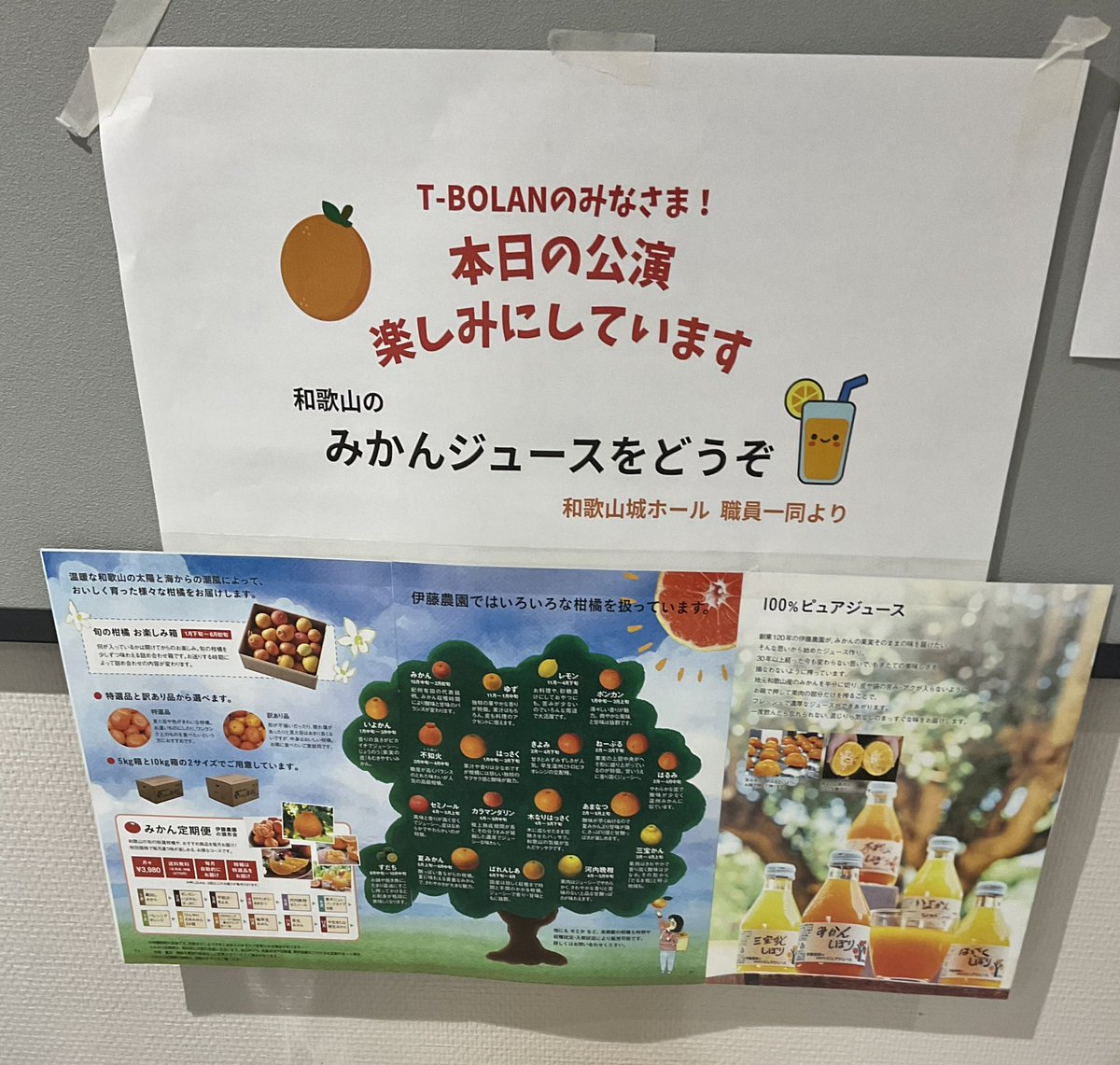 坪倉唯子 tweet media