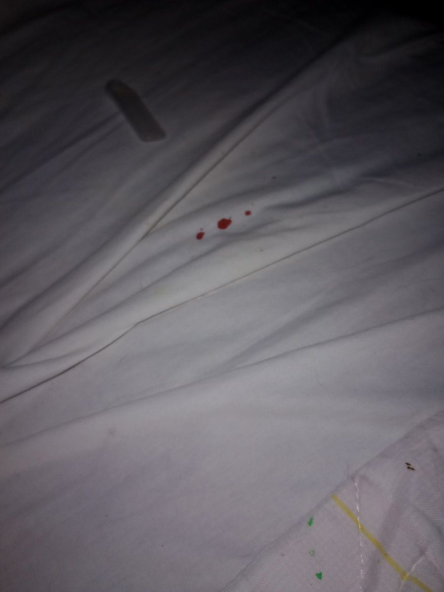 🇧🇷 starlight of shtwt tweet media