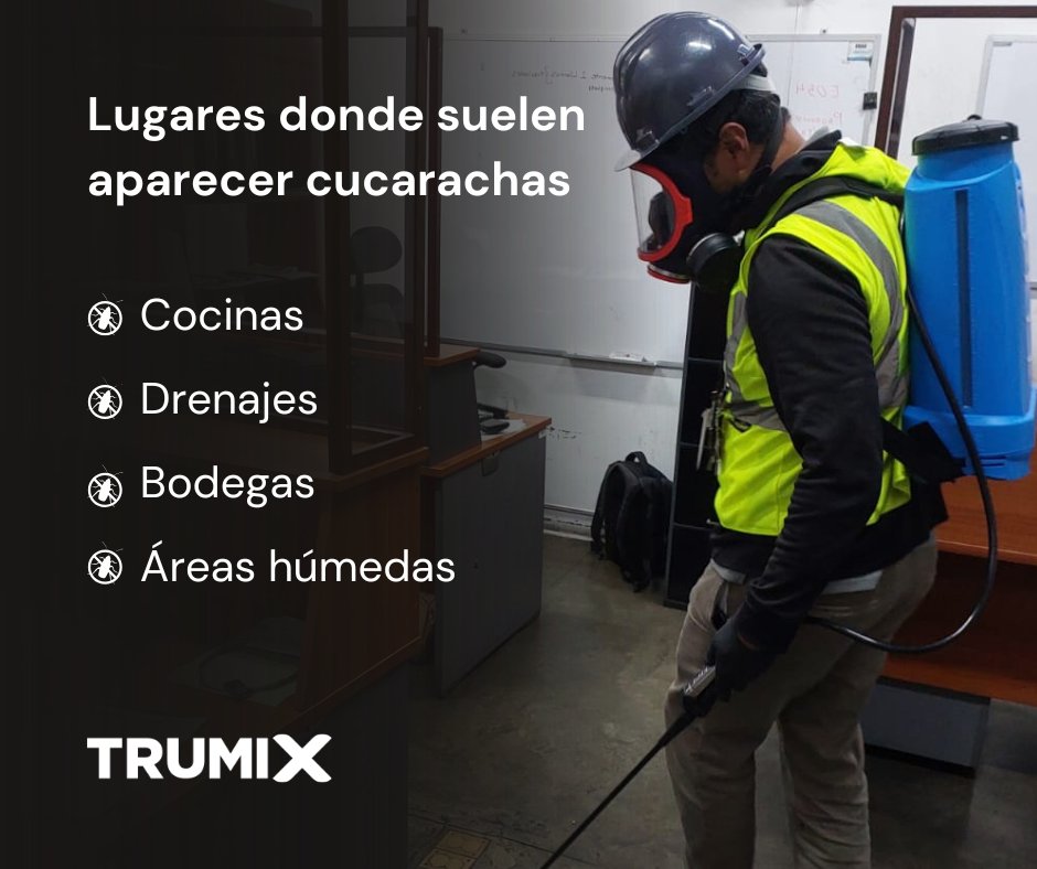 trumixcr's tweet image. Las cucarachas buscan calor, humedad y alimento.

Detectar estos espacios a tiempo ayuda a prevenir infestaciones. 🪳✔️

En Trumix trabajamos con control profesional adaptado a cada entorno.

📲 8432-0837
📞 4000-7784

#Plagas #Prevención #ControlDePlagas #Trumix