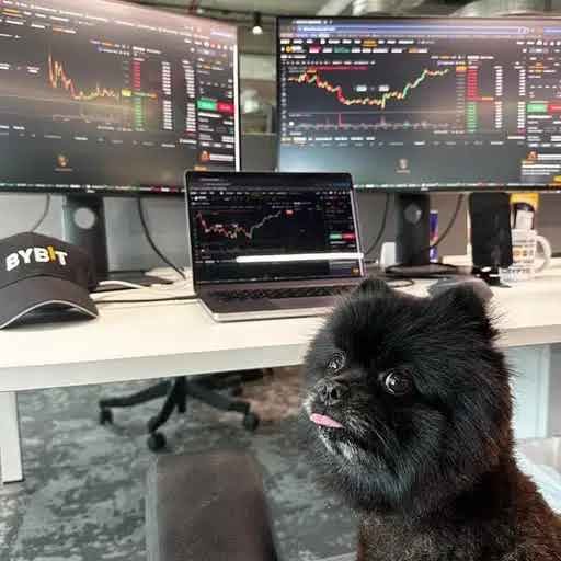 badone93's tweet photo. Pure belief on @printr ecosystem

$Shadow - Official Bybit's dog

No dex, no x community yet and we have already 15% staked

If you want to be added to xchat lmk! https://t.co/8ieXa6XErx