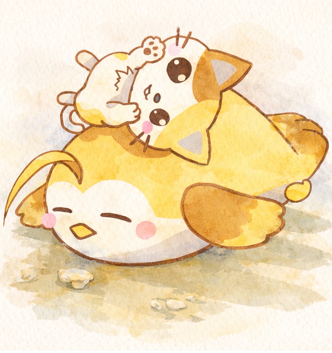 でぼの日常（公式） tweet media