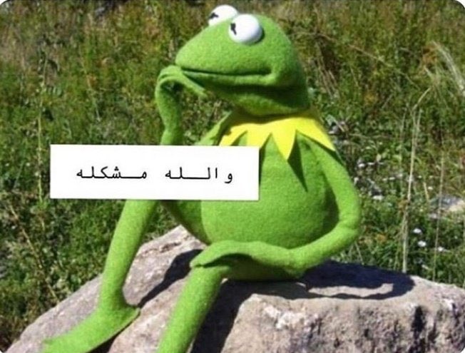 رامـــي | RAMI 🔻🇵🇸 tweet media