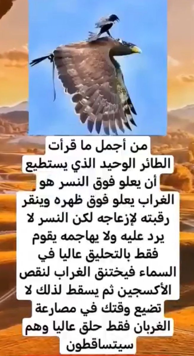 (Abu trki) tweet media