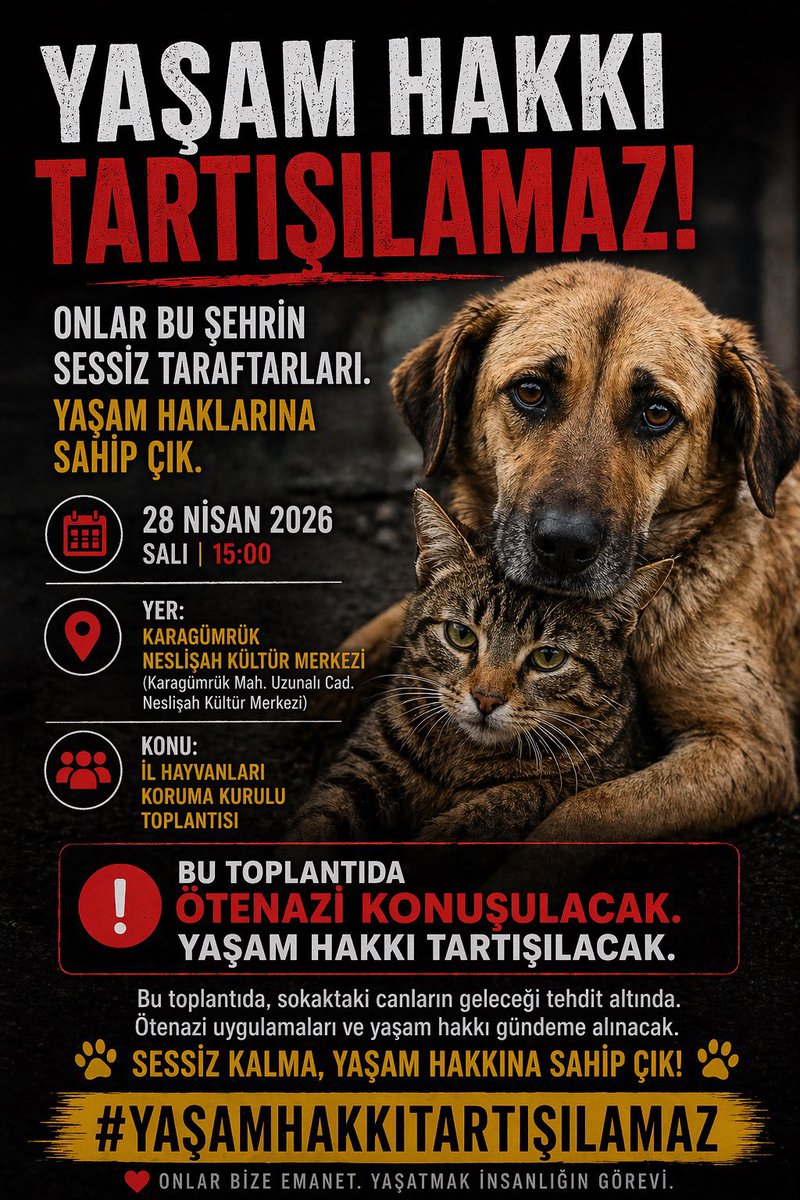 Nasuh Bektaş tweet media