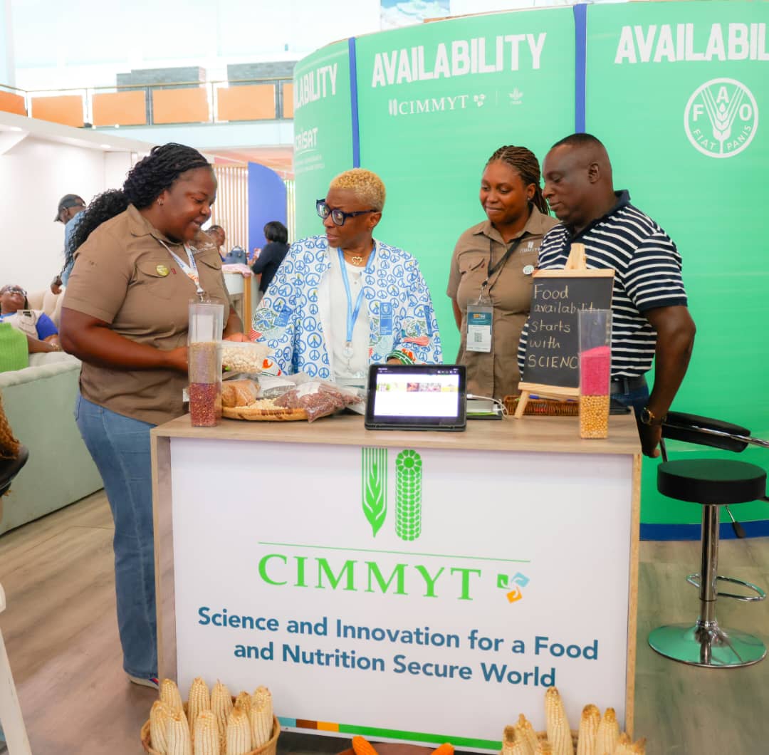 CIMMYT tweet media