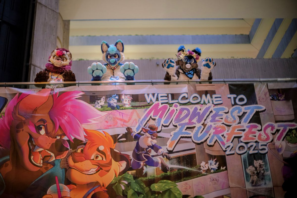 Fuze_Husky tweet media