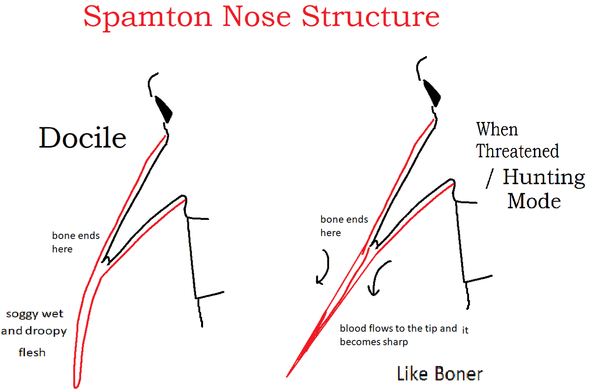 My Spamton Nose Thesis