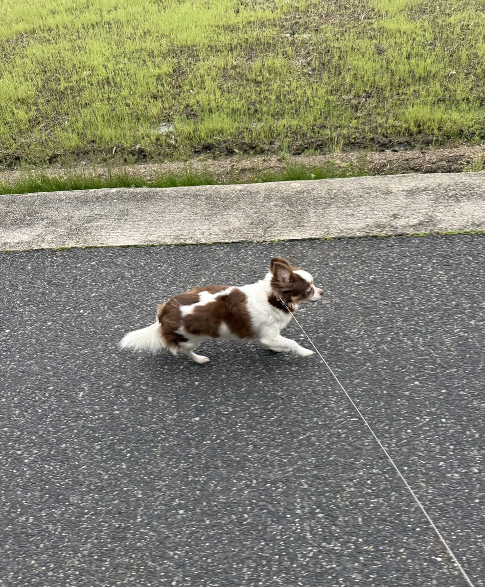 モリシタ tweet media