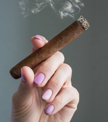 prigozhin da bahia tweet media