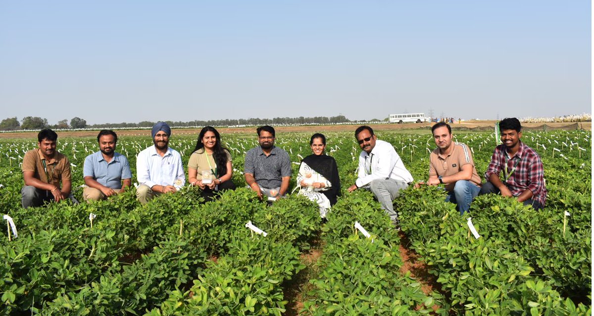 senetoile's tweet image. Une percée génétique sur la « blanchissabilité » de l'arachide promet de révolutionner la filière
senetoile.net/article/une-pe…
#arachide #ICRISAT #génétique