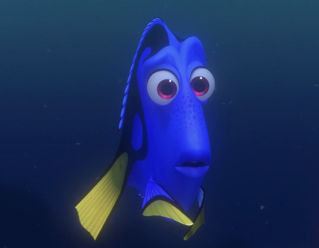 Film Updates tweet media