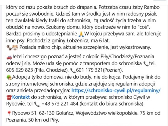 Robwalka Wolf tweet media