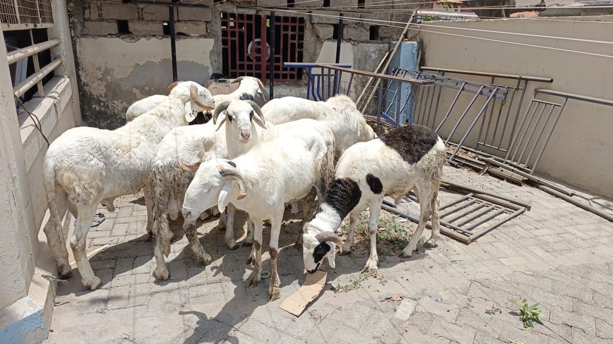 Maps Cissé tweet media